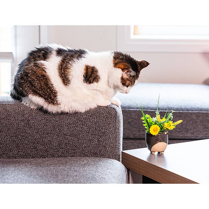 Abbott - Wholesale Plant Pot - Sm Cat on Legs Planter-3" H5