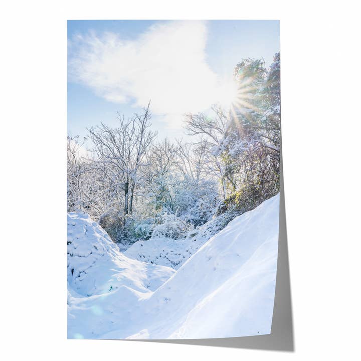 Vintersol | Konstfotografi Print för wholesale av Natasha Riha Photography