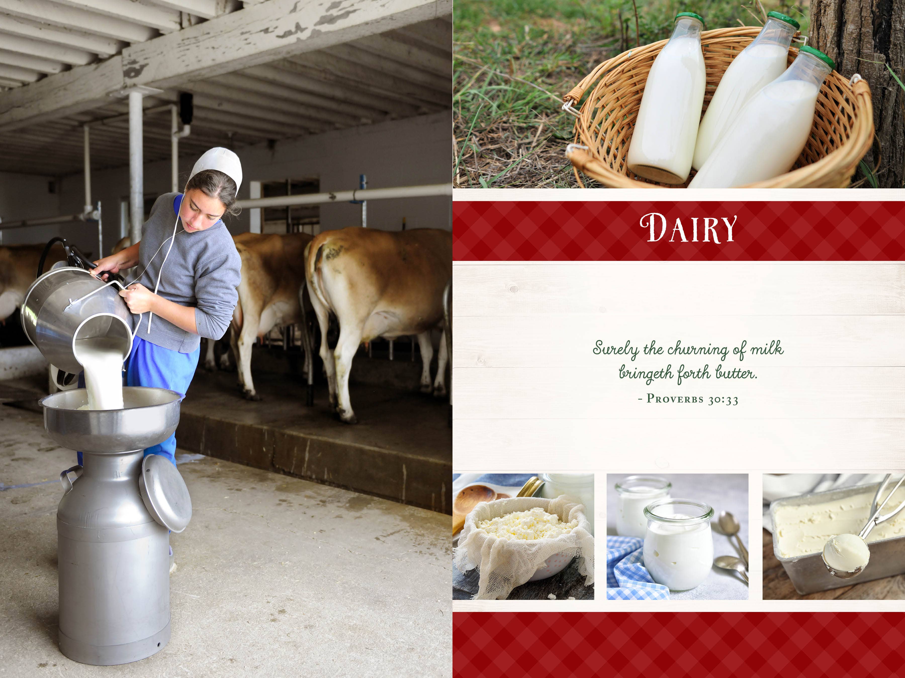 Barbour Publishing, Inc. - Wholesale Cookbooks & Food - Wanda E. Brunstetter's Amish Friends Farm-to-Table Cookbook12