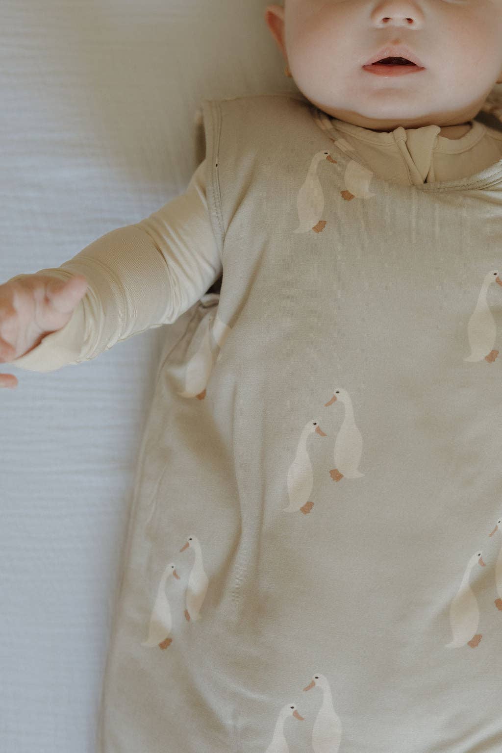 Forever French Baby - Wholesale Sleepsack - Baby - Bamboo Sleep Sack | Silly Goose9