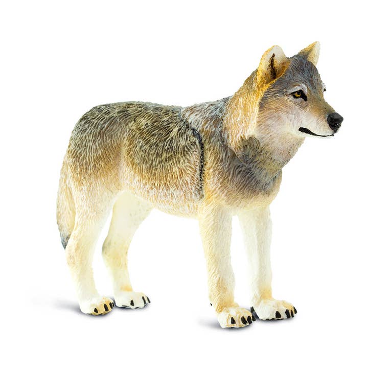 Safari Ltd. - Wholesale Figurine Toy - Kids - Gray Wolf - 1005092