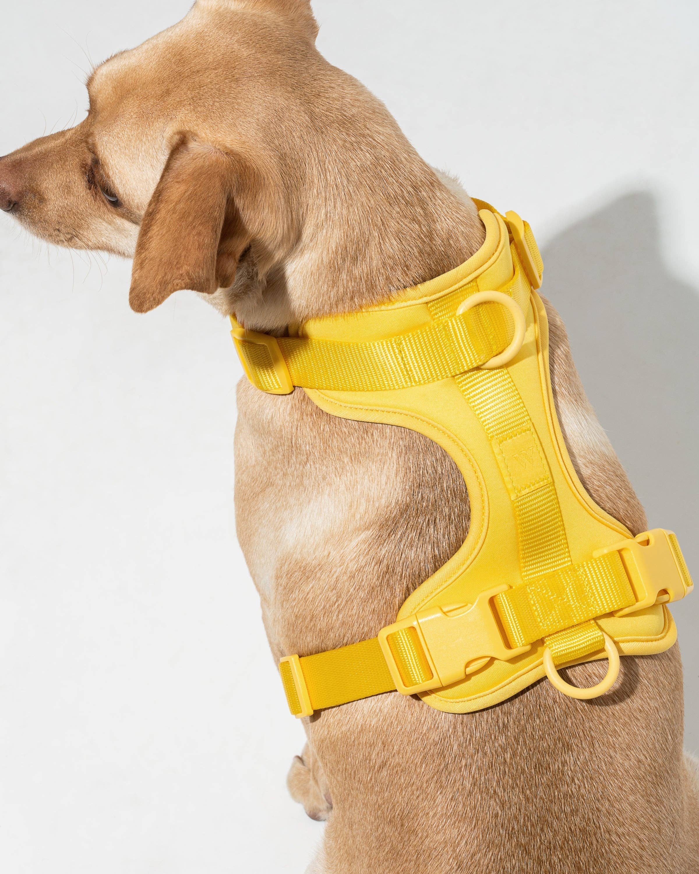 Wild One - Wholesale Pet Harness - Dog - Harness26