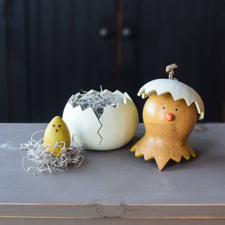 Flore pour la vente par Meadowbrooke Gourds