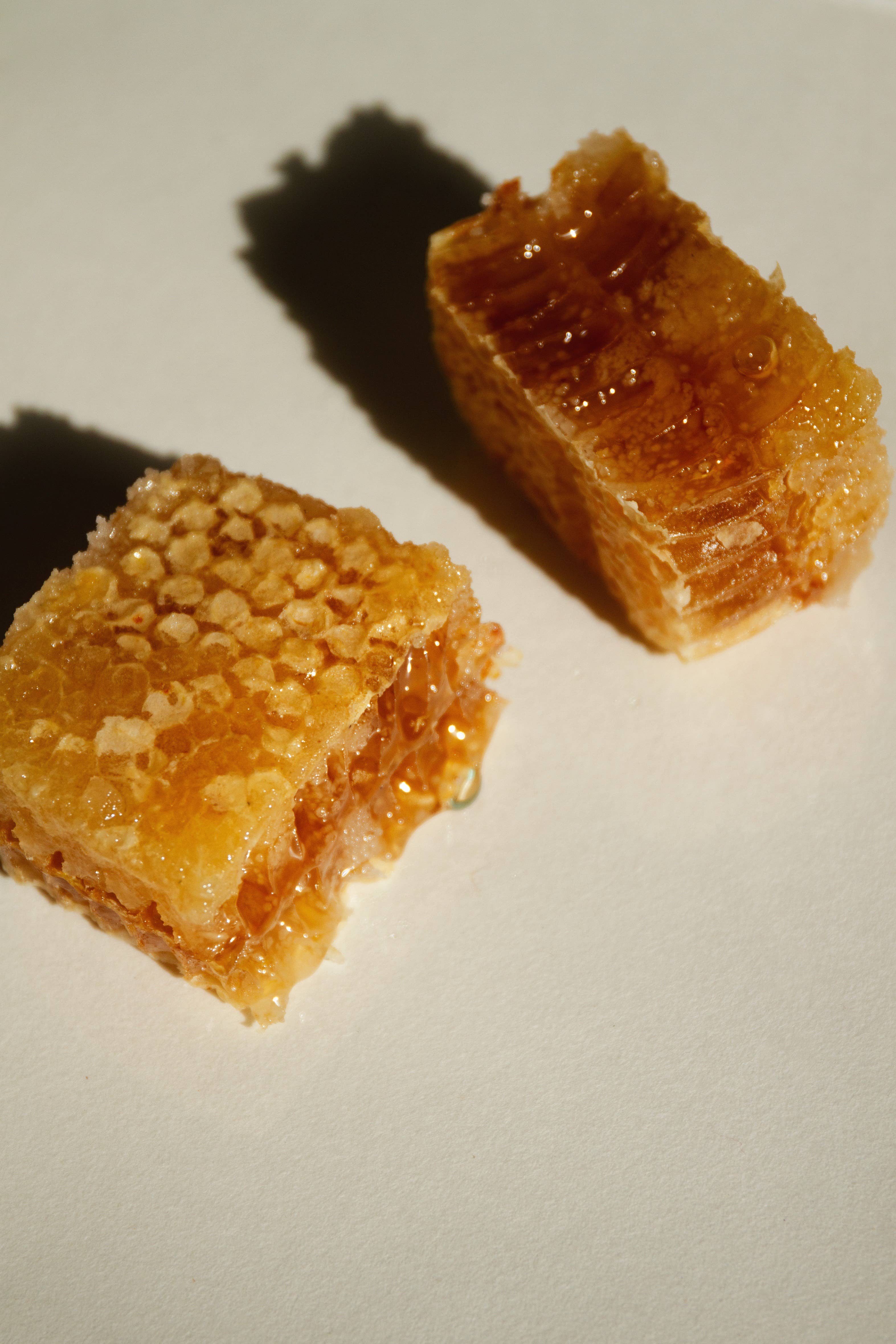 SUMMER SOLACE- Regenerative Tallow Beauty - Vendita all'ingrosso Burro di cacao - Balsamo labbra classico alla menta piperita rinfrescante al sego, 4,25 g4