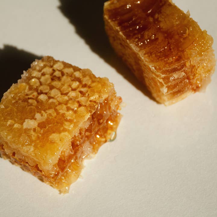 SUMMER SOLACE- Regenerative Tallow Beauty - Vendita all'ingrosso Burro di cacao - Balsamo labbra classico alla menta piperita rinfrescante al sego, 4,25 g4