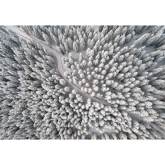 Tree table for wholesale by Coast and Valley