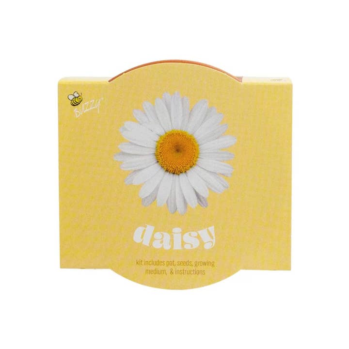 Classic 7cm Terracotta Daisy Grow Kit – Indoor Gift for wholesale by Buzzy Seeds Grow Gifts
