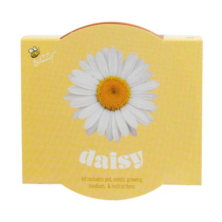 Classic 7cm Terracotta Daisy Grow Kit – Indoor Gift for wholesale by Buzzy Seeds Grow Gifts