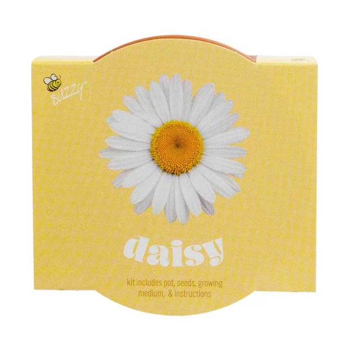 Classic 7cm Terracotta Daisy Grow Kit – Indoor Gift for wholesale by Buzzy Seeds Grow Gifts