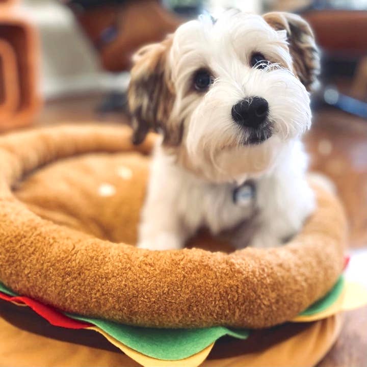 TONBO - Wholesale Pet Bed - Cat/Dog - TONBO Burger Pet Bed