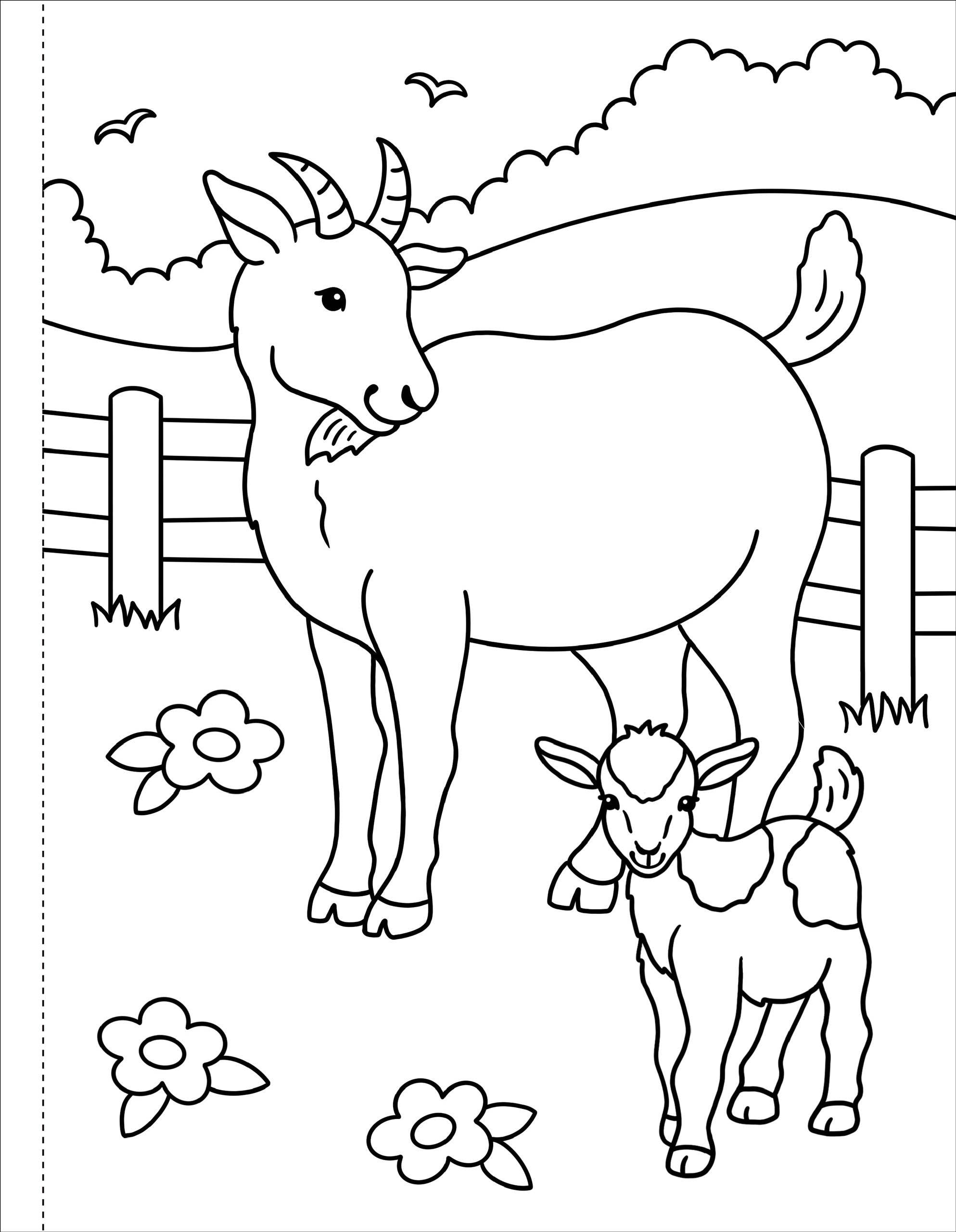 Peter Pauper Press - Wholesale Coloring & Activity Book - Kids & Baby - My First Coloring Book! On the Farm3