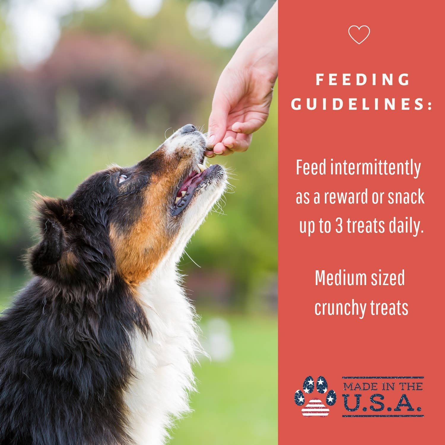 Dog Mamma's LLC - Wholesale Pet Treats - Dog - Organic Apple Cranberry Recipe - Gourmet Dog Treats 7