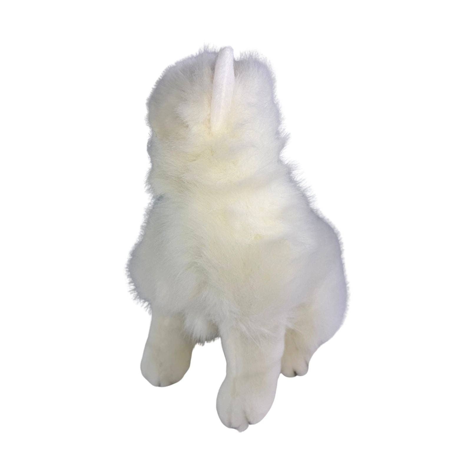 Bocchetta Plush Toys - Vente Peluche – chien - Perle - Chat Persan - 34 cm assis, blanc6