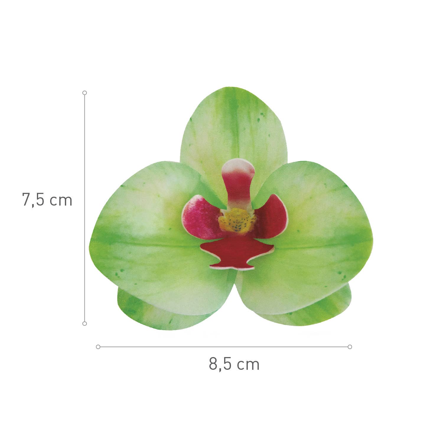 dekora – Engroshandel Kagepynt – Spiselige vaffelblomster til kage, 8,5 - 7,5 cm32