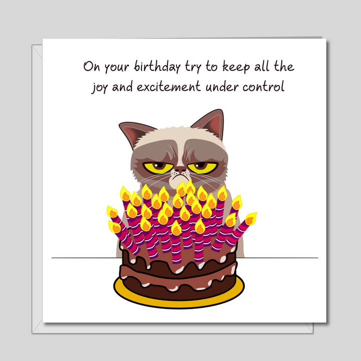 Swizzoo Cards - Wholesale Birthday Card - Grumpy Cat Birthday Card - Funny, humorous, fun - grouchy bad-tempered - husband dad grandad grandpa - humour