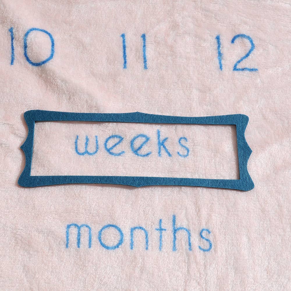 Ziggle Baby – wholesale Milestone blanket – Child & baby – Bunnies Milestone Blanket4