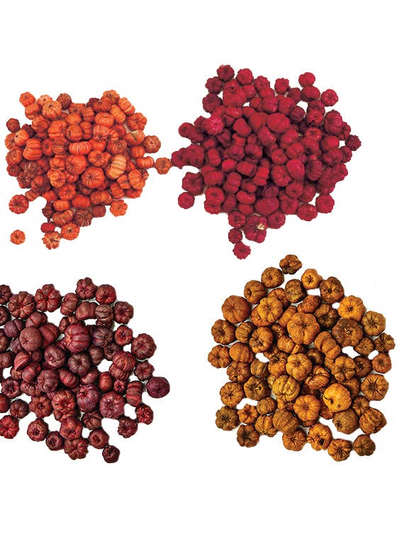 Natural Mini Pumpkin Putka Pods (1 bag equals to 2LBS) for wholesale by WORTH IMPORTS