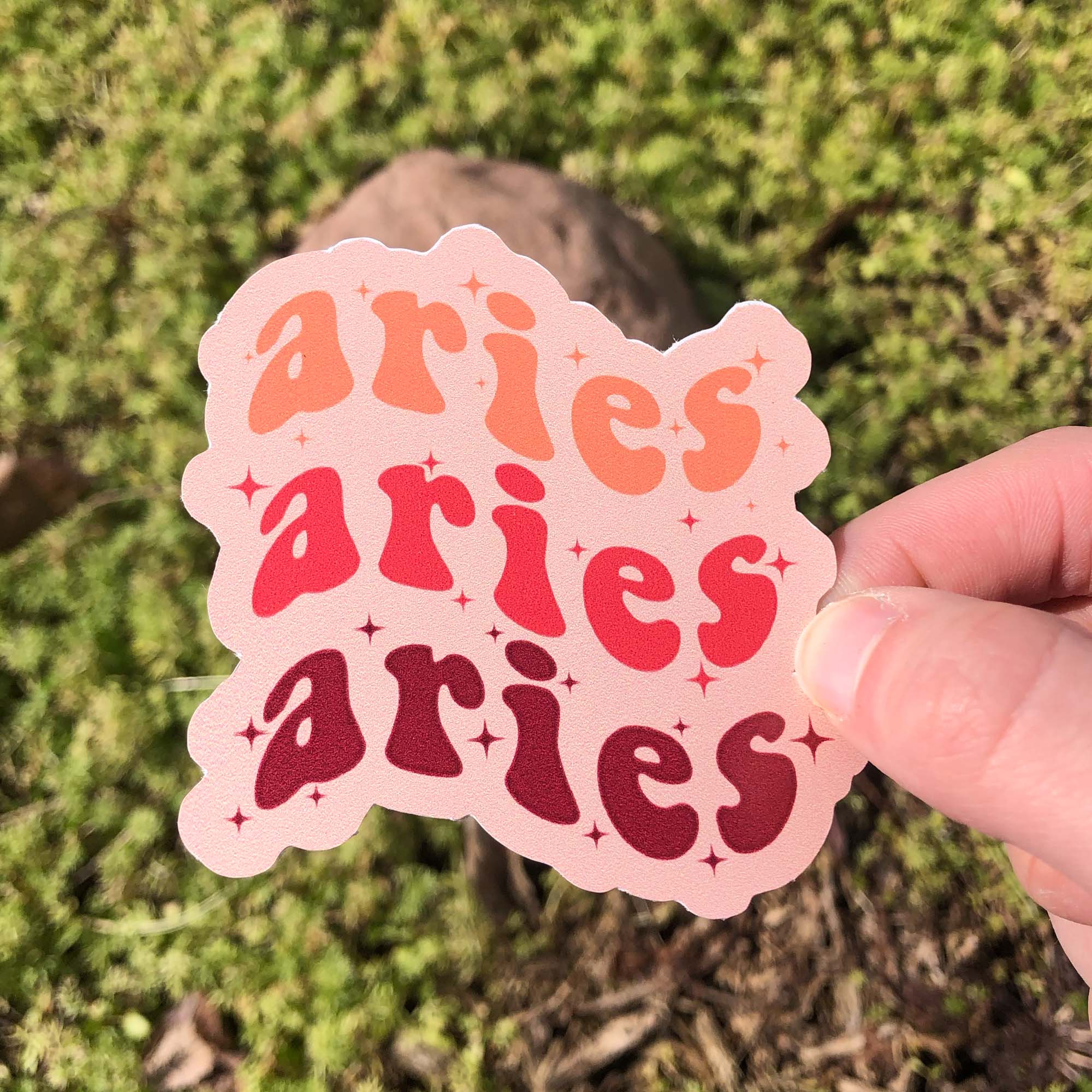 The Funnel Cake Tree - Wholesale Sticker - Star Sign Stickers Mega Pack ✨✨1