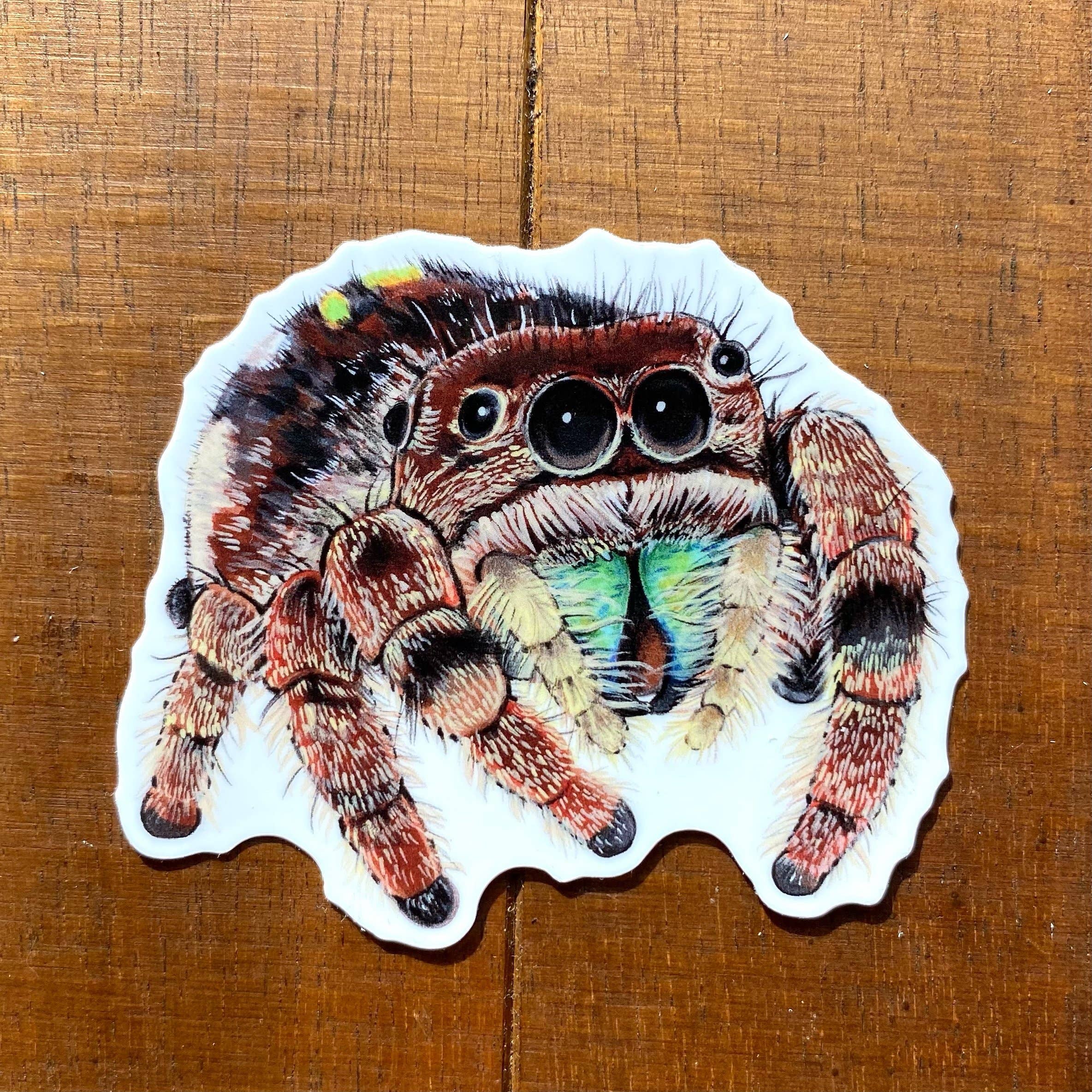 Allison Stoiser Art - Wholesale Sticker - Jumping Spider Weatherproof Vinyl Sticker1