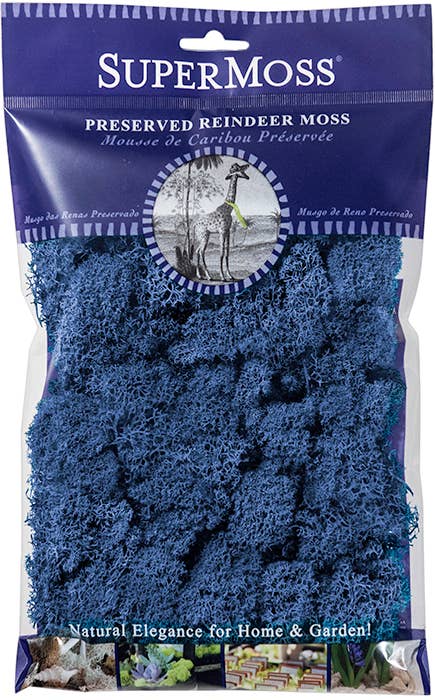 SuperMoss – Großhandel Pflanzen – SuperMoss Rentiermoos konserviert, 57 g Beutel12
