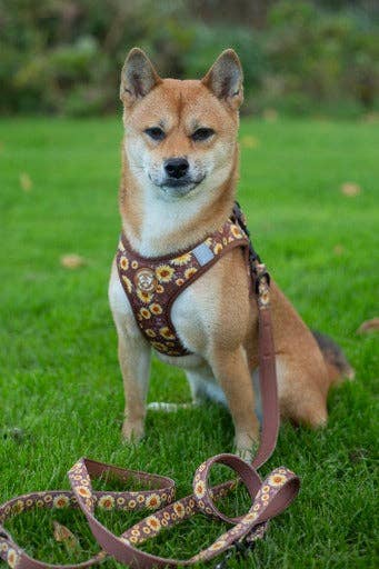 Collarfull - Wholesale Pet Harness - Dog - Tiny Trails step-in dog harness - Sunflowers on my mind5