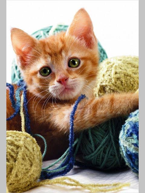 Friendship Blank| AGTC| SM| 6586916
for wholesale by DICKENS INC.