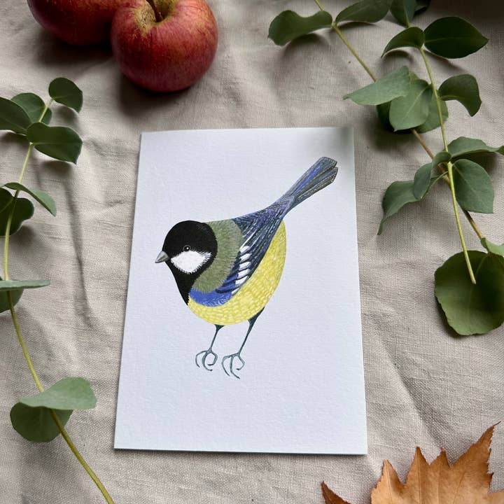 Great tit Cards for wholesale by Susie Hamilton Art