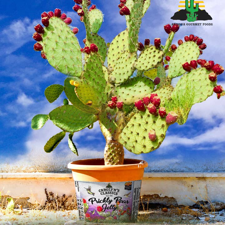 Carolyn's Classics – wholesale Sylt/gelé – Prickly Pear Cactus Jelly1