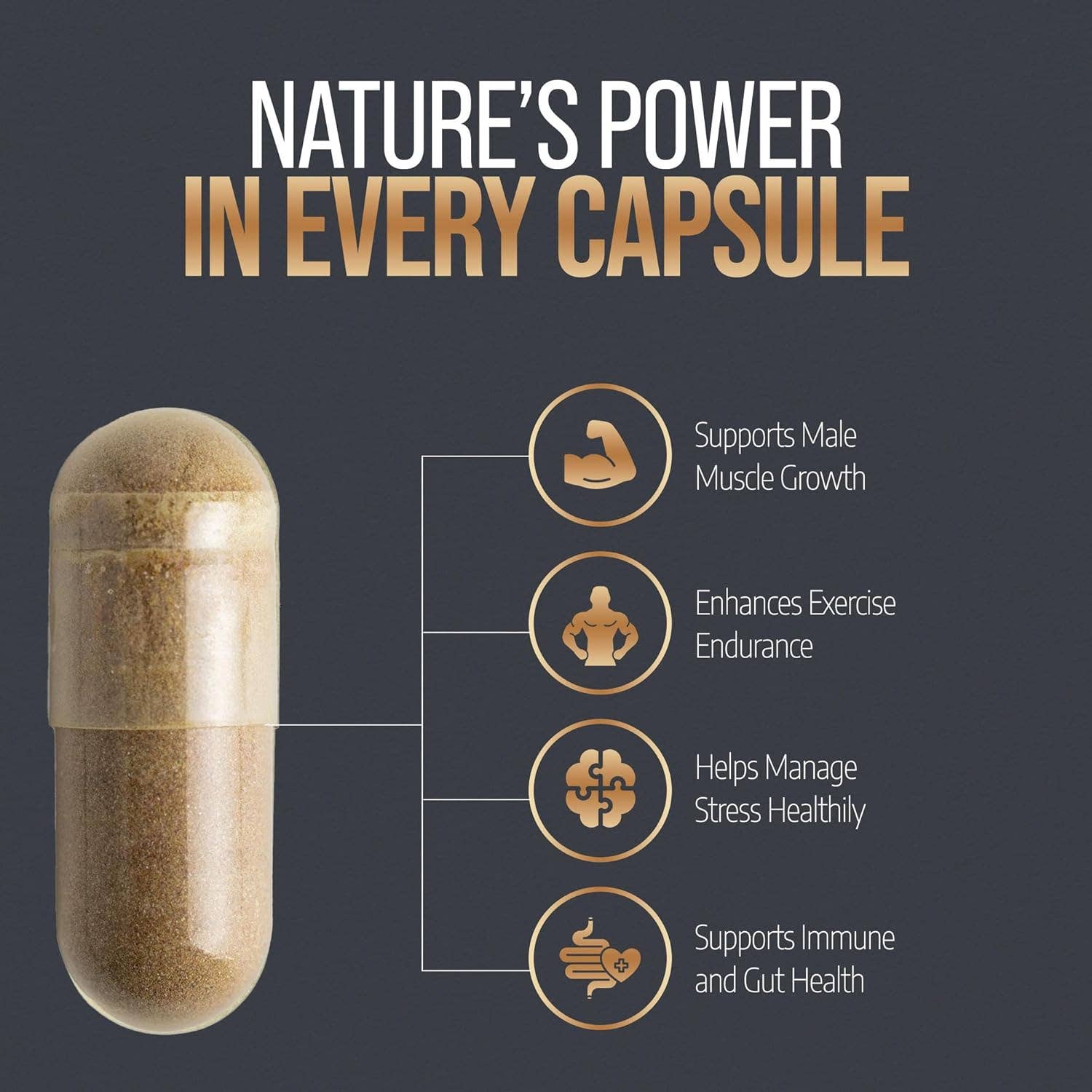 Nutra Brands – wholesale Oral supplement/vitamin – Absolute Shilajit 500mg | 60 Vegan Capsules5