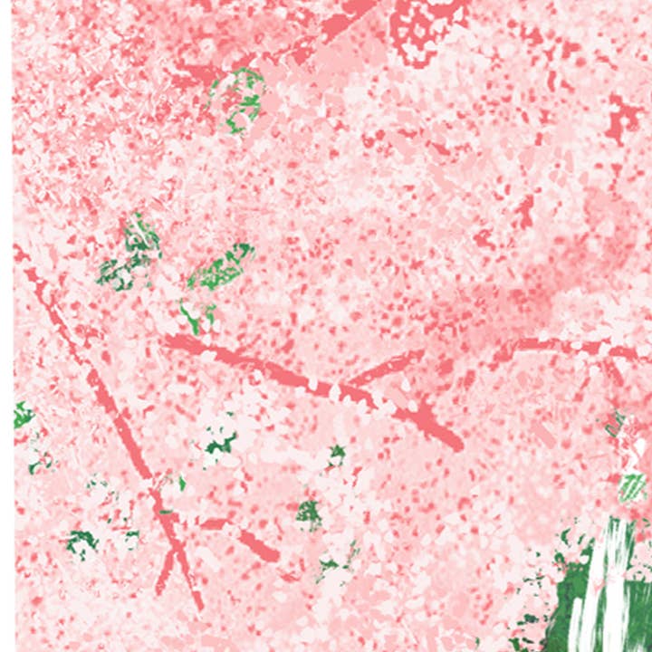 The Culture Curious - Wholesale Postcard - Dupont Circle + Cherry Blossoms postcard4