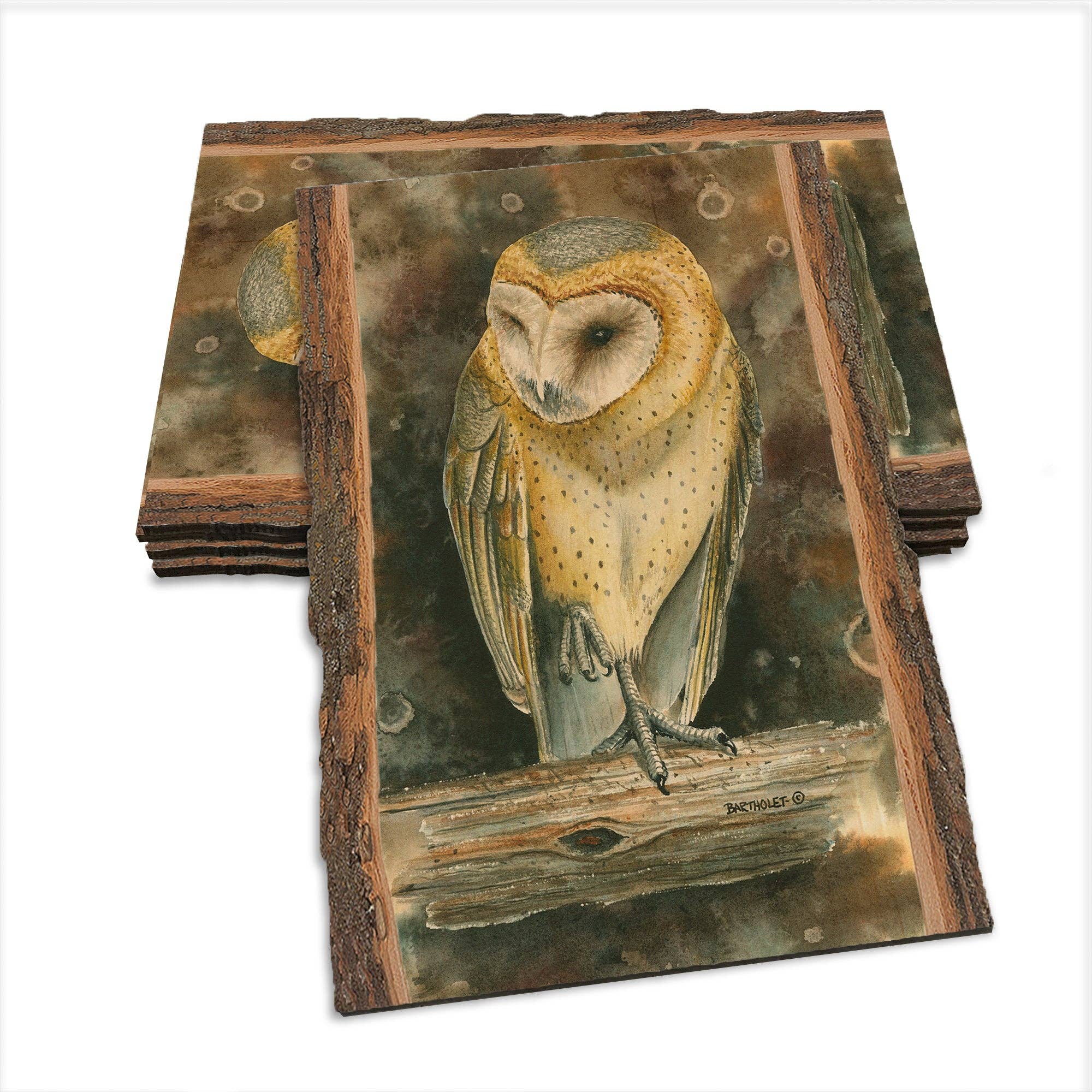 DaydreamHQ - Wholesale Art Print - Bartholet's Barn Owl  - Live Edge0