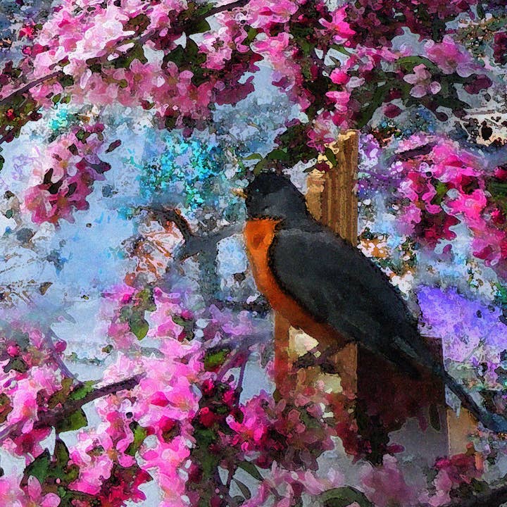 Rockin' Robin Rocks On 2018 for wholesale by Art by Deeling