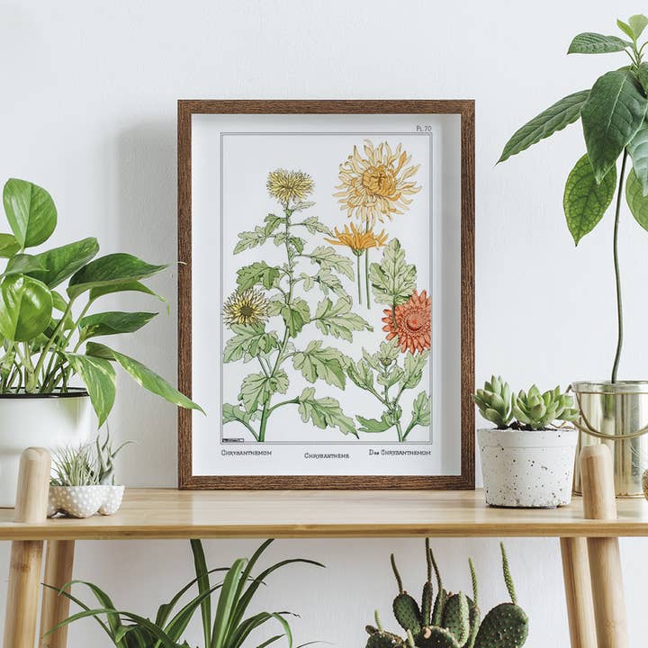 Impressão artística de crisântemo por atacado de Cynefn