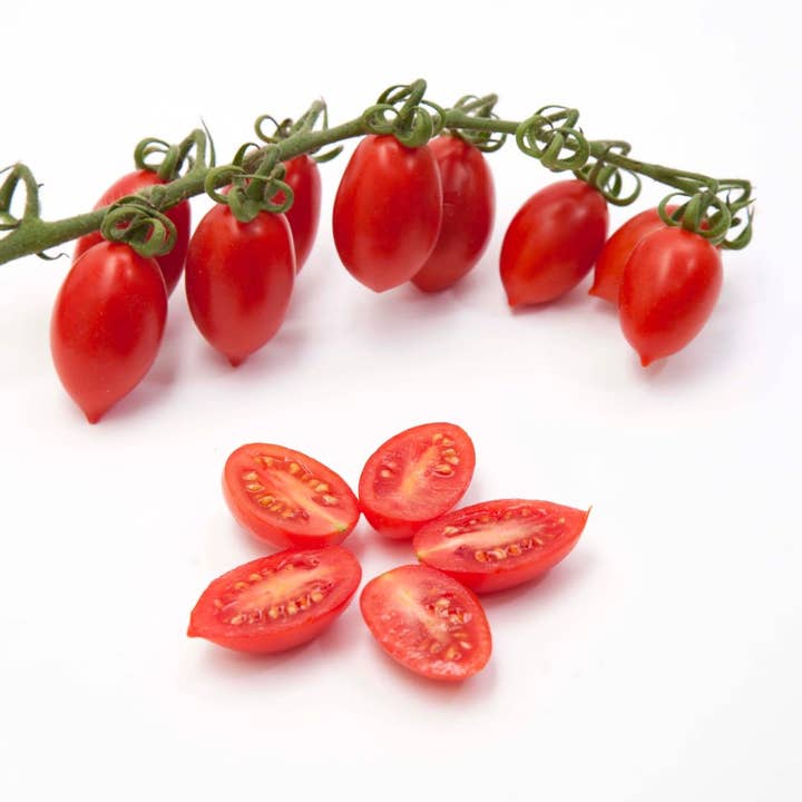 Wholesale Italian Food - Wholesale Pasta Sauce - Così Comè Datterini Tomatoes in Juice – 12.3 oz (350 g)7