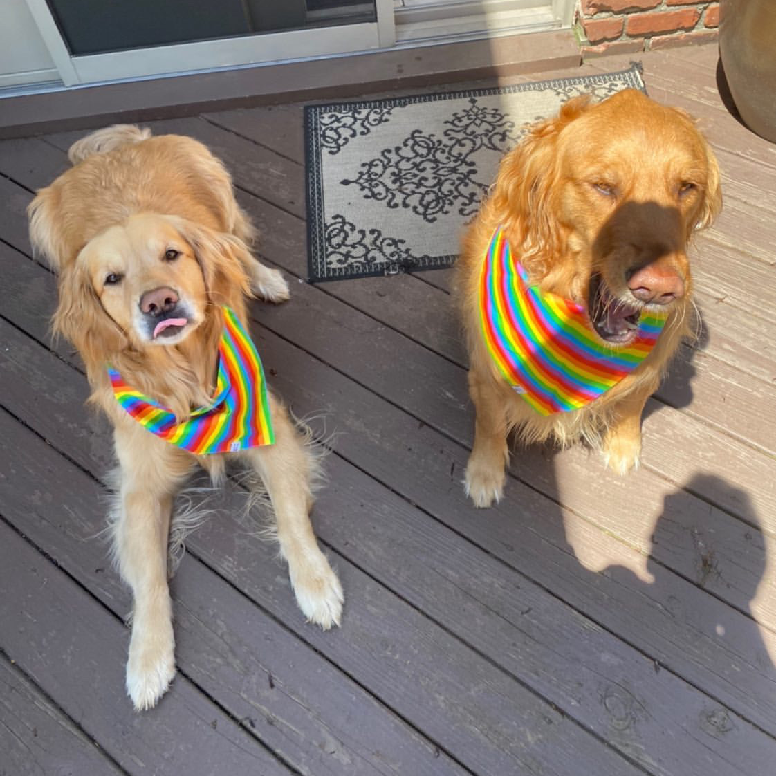 Winthrop Clothing Co. – Engroshandel Bandana - Hund – Regnbue Stribe Hund Bandana3