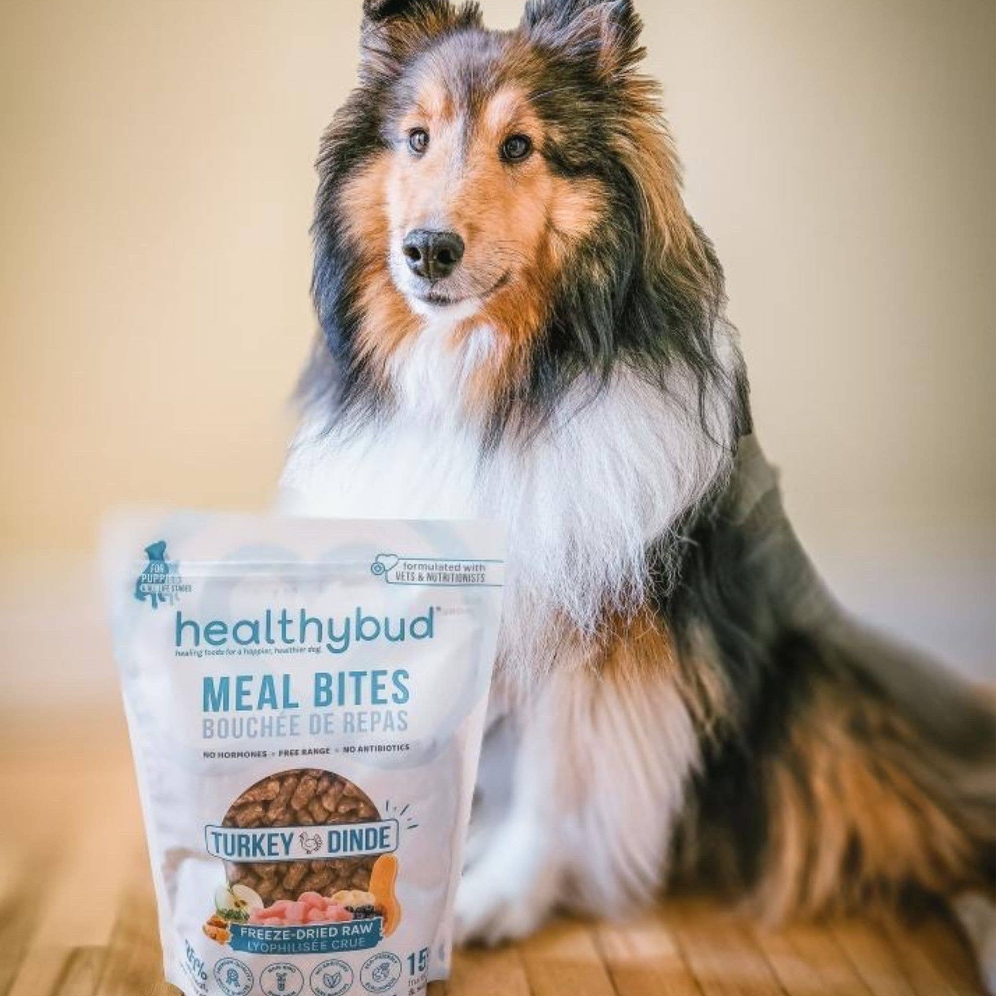 Healthybud - Wholesale Pet Food - Dog - Healthybud's Freeze-Dried Turkey Meal Bites for Dogs5