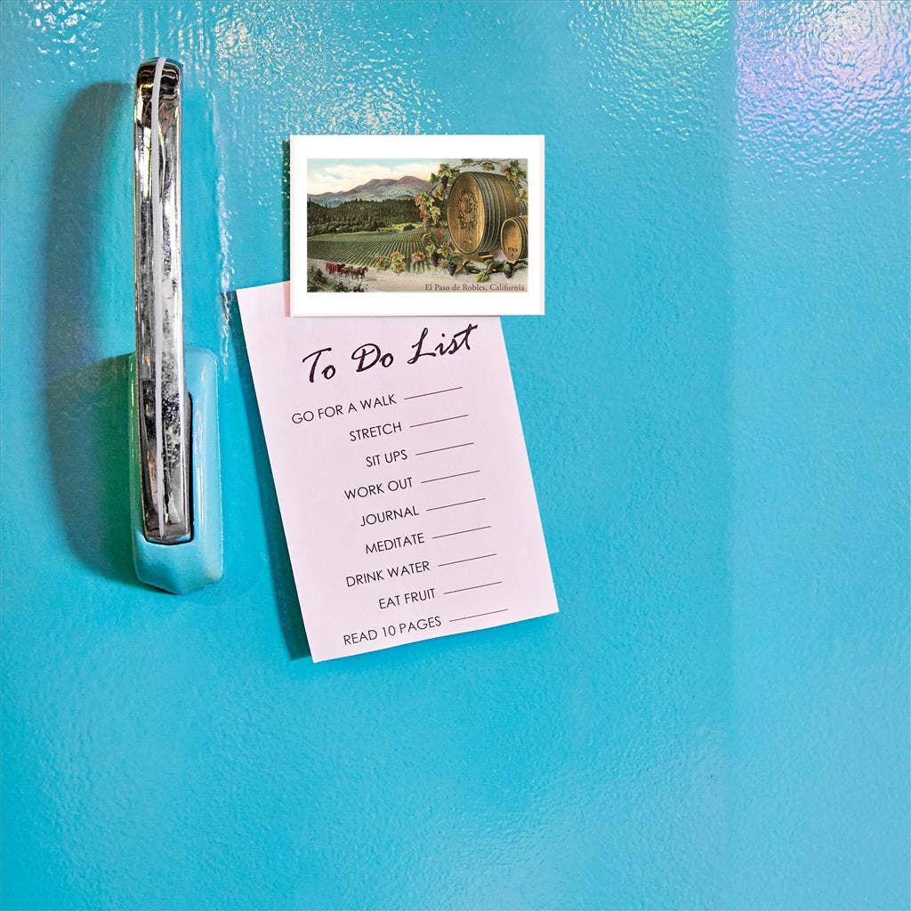 Found Image Press - Wholesale Magnet - Magnet CA-1478 Vinyards, El Paso de Robles1