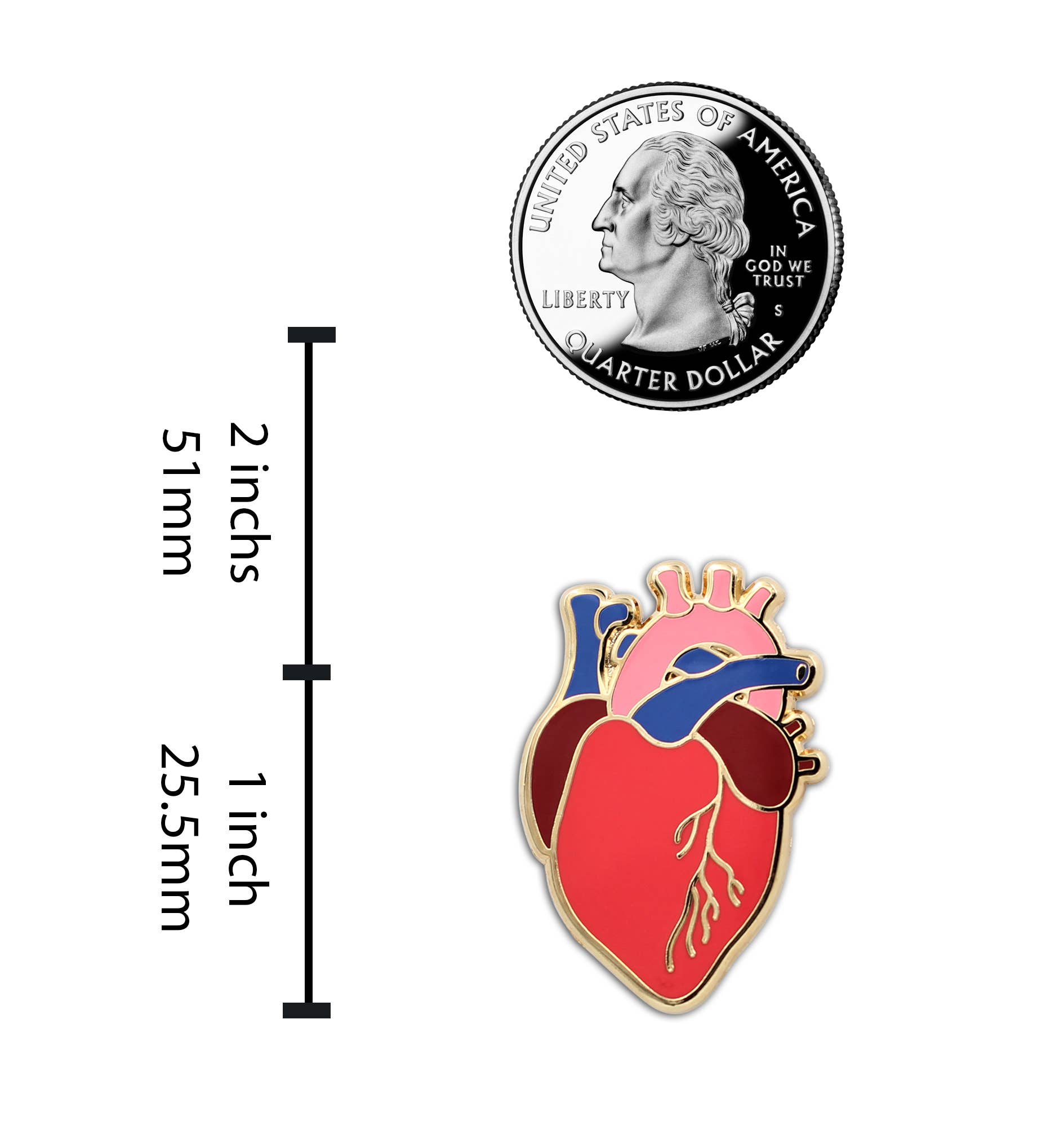 Real Sic - Wholesale Lapel Pin/Button - Anatomical Heart Realistic Scientific Heart Enamel Pin2