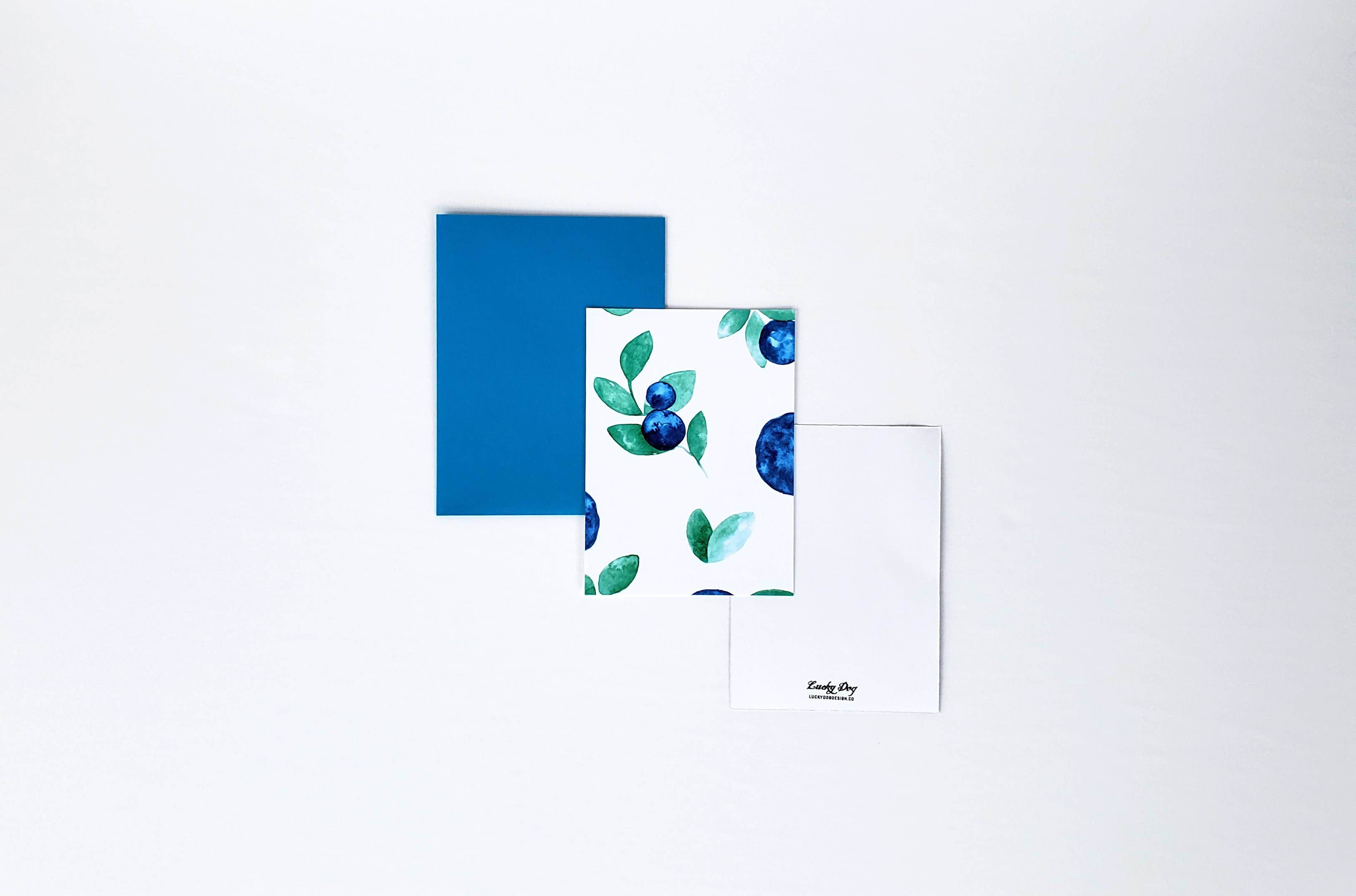 Lucky Dog Design Co. - Wholesale Stationery/Notecard Set - Blueberry Paradise Mini Card Set (Set of 10)5