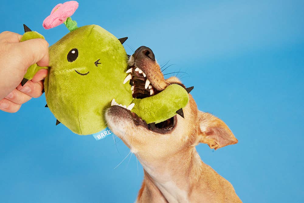 Pet Palette Distribution - Wholesale Pet Plush Toy - Dog - BARK Consuela the Cactus3