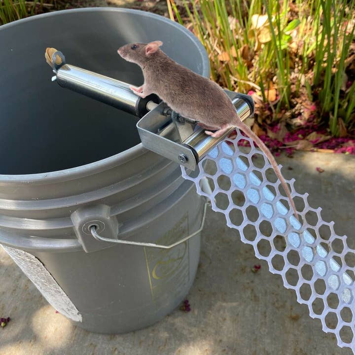 Silver Reusable Mice Rat Mouse Killer Roll Trap Log Rolling Mouse Catcher Rodent Traps Mouse Control for wholesale on Faire7