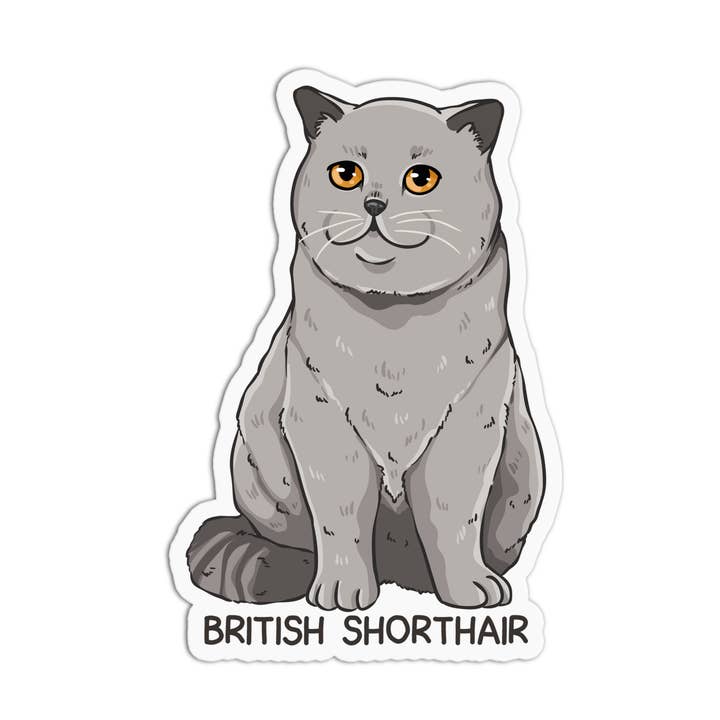 Cat British Shorthair waterdichte vinylsticker voor wholesale door Girls Printing House