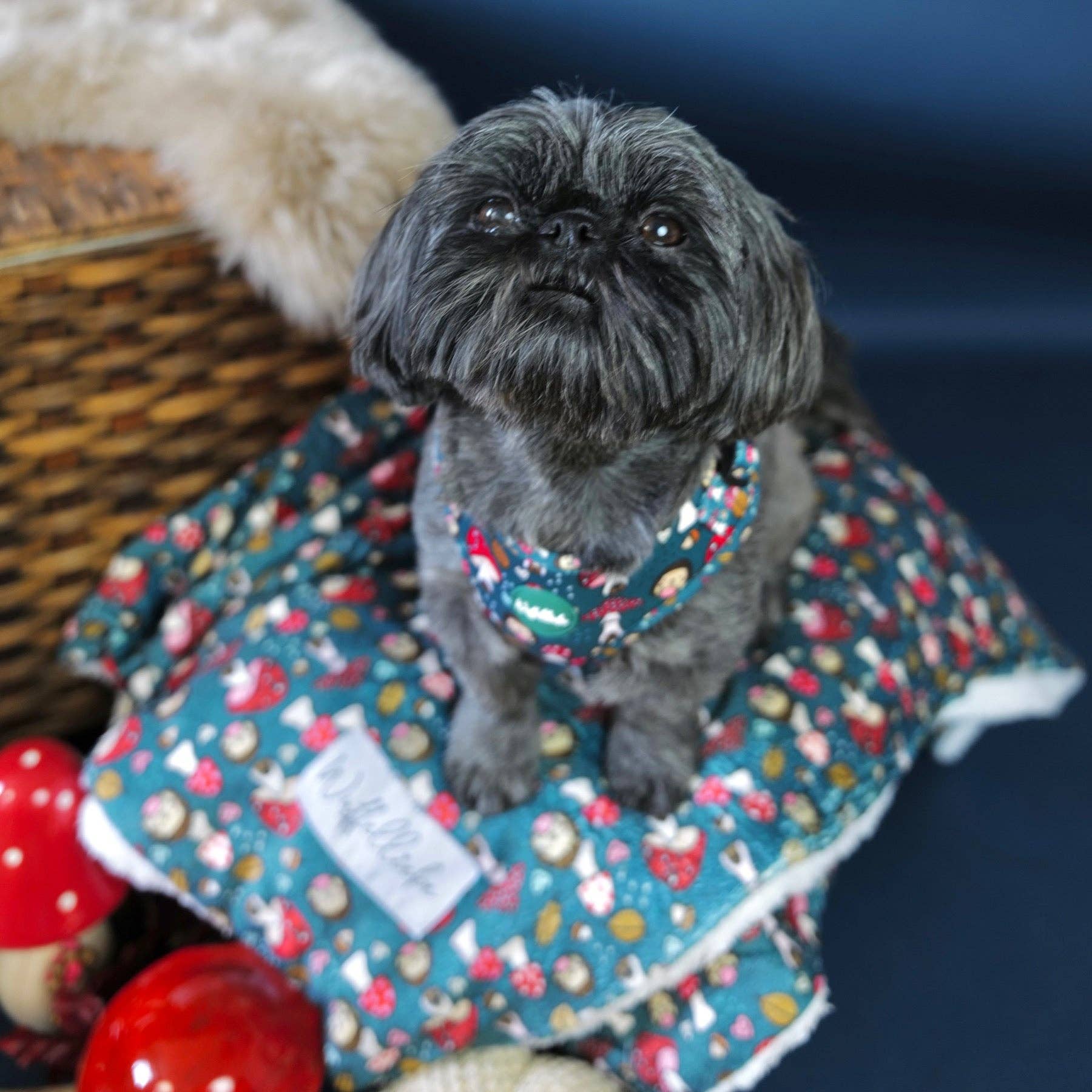 Wuffelliebe - Wholesale Pet Blanket - Cat/Dog - Happy Shroomy - blanket1