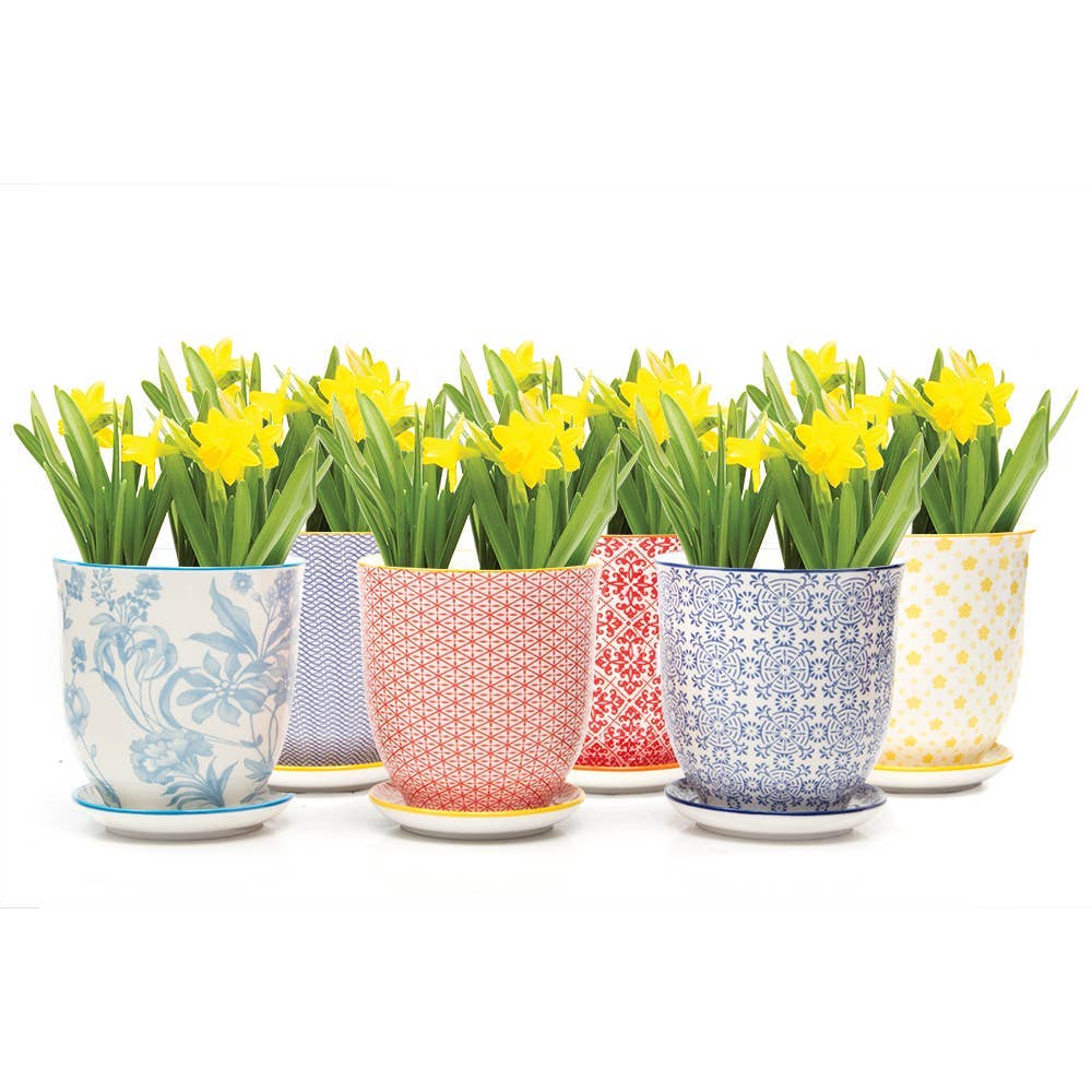 Chive UK – Großhandel Blumentopf – Liberte 3 - Keramik-Blumentopf mit Untersetzer und Abflussloch29