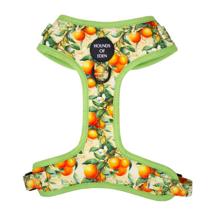 Simply the Zest - Oranges Dog Harness for wholesale by Hounds of Eden