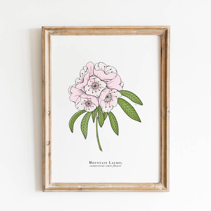Connecticut State Flower Print | Mountain Laurel Print for wholesale by Erika Layne Art