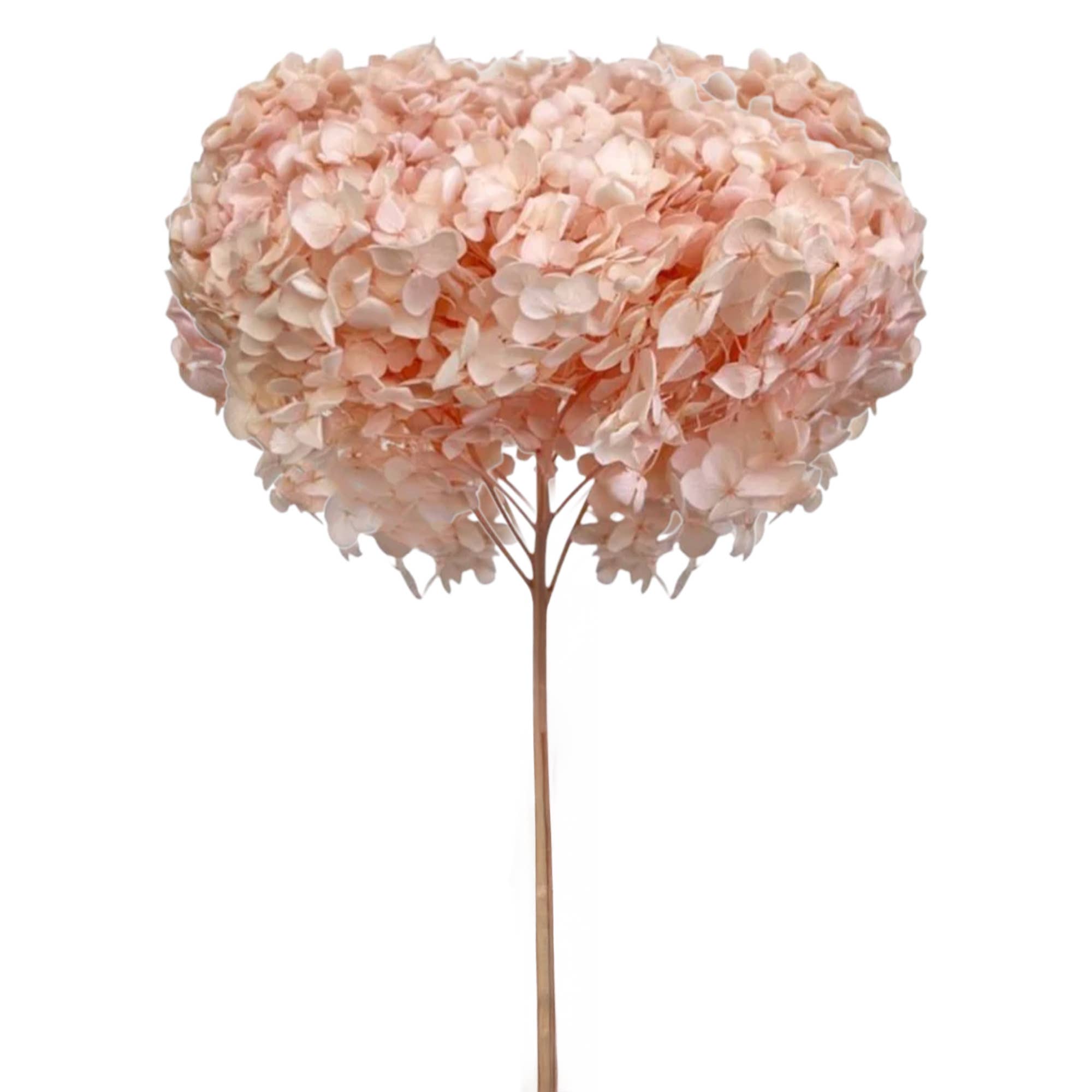 2626 Designs - Wholesale Dried/Pressed Flowers - Dried Preserved Hydrangea Flower 16" with Stem0