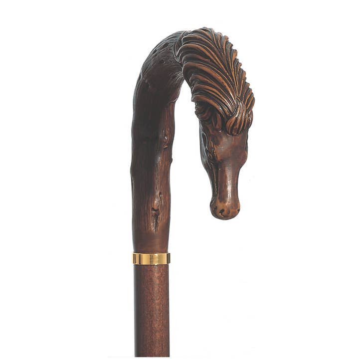 Cavallo pour la vente par Harvy Canes