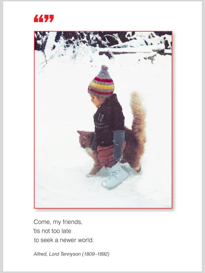 Det är inte för sent Julboxset för wholesale av The Borealis Press Inc