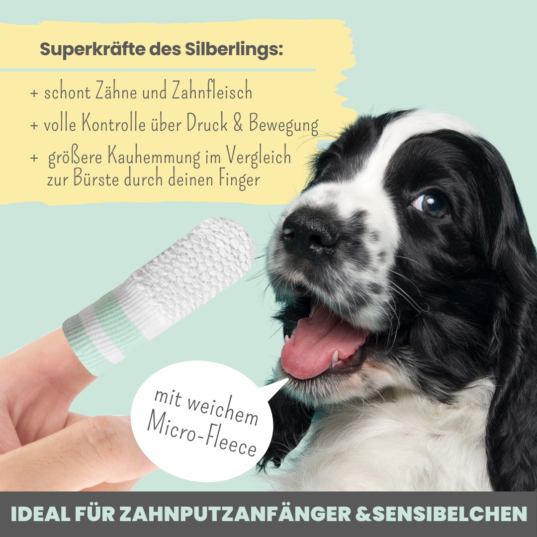 Noms+ - Venta al por mayor Artículo de aseo para mascotas - Perros - Silverling: protector dental antibacterial para perros con iones de plata1